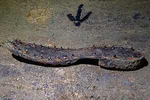 Old boot sole in Rimu
Photographer;&nbsp;Peter Baxter
2022-04-16&nbsp;15.28.44
Original size:&nbsp;3,837 x 2,558; 7,641 kB
Filename: 2022-04-16 15.28.44 IMG_5236-1 Peter Baxter - old boot sole in Rimu.jpeg