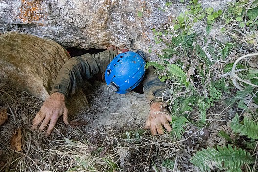 Chirpy in Rimu exit
Photographer;&nbsp;Peter Baxter
2022-04-16&nbsp;16.05.35
Original size:&nbsp;4,029 x 2,686; 11,194 kB;&nbsp;cr
Filename: 2022-04-16 16.05.35 IMG_5277-1 Peter Baxter - Chirpy in Rimu exit_cr.jpg