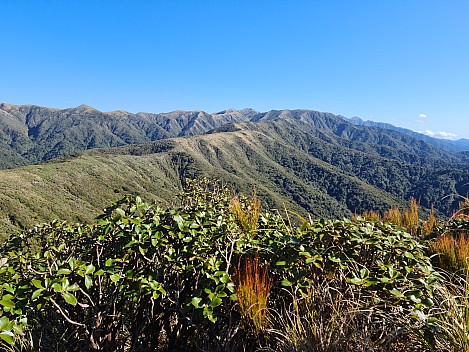 Ngapuketurua Ridge
Photographer;&nbsp;Adrian
2022-10-23&nbsp;16.40.31;&nbsp;Metadata time: '2022 Oct 23 16:40'
Original size:&nbsp;9,248 x 6,936; 18,358 kB
Filename: 2022-10-23 16.40.31 LG6 Adrian - Ngapuketurua Ridge.jpeg