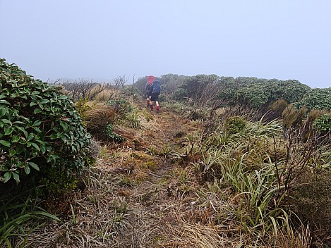 On the track  35 min after leaving Burn Hut
Photographer;&nbsp;Simon
2022-10-24&nbsp;08.49.33;&nbsp;Metadata time: '2022 Oct 24 08:49'
Original size:&nbsp;9,248 x 6,936; 19,048 kB
Filename: 2022-10-24 08.49.33 S20 Simon - on the track 35 min after leaving Burn Hut.jpeg