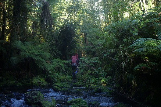 On Moeraki River track
Photographer;&nbsp;Philip
2023-04-16&nbsp;11.17.39;&nbsp;Metadata time: '2023 Apr 16 11:17'
Original size:&nbsp;4,320 x 2,880; 5,488 kB
Filename: 2023-04-16 11.17.39 P1070030 Philip - on Moeraki River track.jpeg