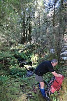 Moeraki River to Middle Head hut