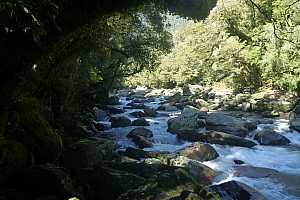 Moeraki River to Middle Head hut