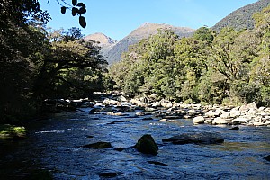 Moeraki River to Middle Head hut