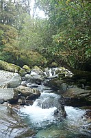 Moeraki River, Middle Head Hut to Blue River Hut