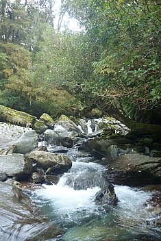 View up the Moeraki
Photographer;&nbsp;Philip
2023-04-17&nbsp;08.43.50;&nbsp;Metadata time: '2023 Apr 17 08:43'
Original size:&nbsp;2,880 x 4,320; 4,390 kB
Filename: 2023-04-17 08.43.50 P1070054 Philip - view up the Moeraki.jpeg
