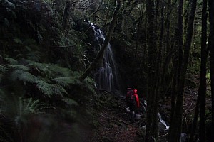 Blue River Hut to Māori Saddle Hut on the Haast Paringa Cattle track