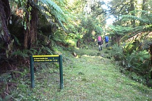 Māori Saddle Hut to Mataketake Hut