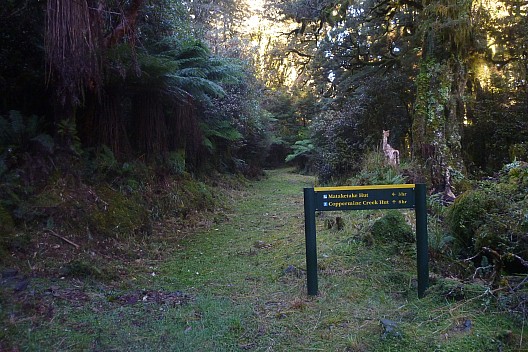 View back along pack track from Māori Saddle Hut turnoff
Photo: Philip
2023-04-19 08.58.26; '2023 Apr 19 08:58'
Original size: 4,320 x 2,880; 5,474 kB
2023-04-19 08.58.26 P1070109 Philip - view back along pack track from Māori Saddle Hut turnoff.jpeg