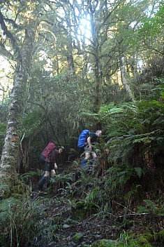 Brian and Simon starting up the track to the Mataketake range
Photo: Philip
2023-04-19 09.09.44; '2023 Apr 19 09:09'
Original size: 2,880 x 4,320; 4,315 kB
2023-04-19 09.09.44 P1070110 Philip - Brian and Simon starting up the track to the Mataketake range.jpeg