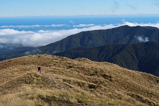 Looking back to the track sign on the Mataketake tops
Photo: Brian
2023-04-19 11.06.27; '2023 Apr 19 11:06'
Original size: 5,472 x 3,648; 9,087 kB
2023-04-19 11.06.27 IMG_0831 Brian - looking back to the track sign on the Mataketake tops.jpeg