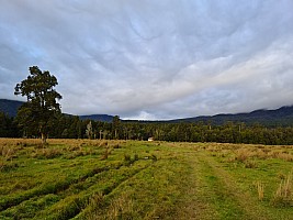 Mataketake Hut to Blue River Hut via tops, drive to Waita River at the south end of Haast-Paringa Cattle Track, tramp to Coppermine Creek Hut