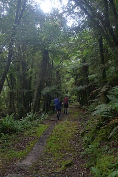 Simon and Brian leaving Blue River hut
Photographer;&nbsp;Philip
2023-04-20&nbsp;14.33.03;&nbsp;Metadata time: '2023 Apr 20 14:33'
Original size:&nbsp;2,880 x 4,320; 4,618 kB
Filename: 2023-04-20 14.33.03 P1070155 Philip - Simon and Brian leaving Blue River hut.jpeg