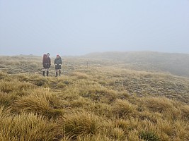 Mataketake Hut to Blue River Hut via tops, drive to Waita River at the south end of Haast-Paringa Cattle Track, tramp to Coppermine Creek Hut