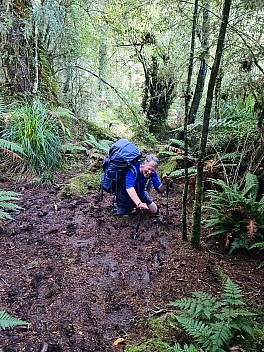 Philip checking the mud depth on the track
Photo: Simon
2023-04-20 15.51.45; '2023 Apr 20 15:51'
Original size: 6,928 x 9,248; 14,763 kB
2023-04-20 15.51.45 S20+ Simon - Philip checking the mud depth on the track.jpeg