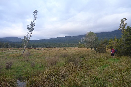 Brian following the Waiata river route
Photo: Philip
2023-04-20 17.11.15; '2023 Apr 20 17:11'
Original size: 4,320 x 2,880; 5,106 kB
2023-04-20 17.11.15 P1070161 Philip - Brian following the Waiata river route.jpeg