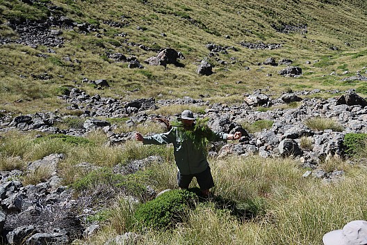 Bruce tree muncher
Photographer;&nbsp;Brian
2024-01-30&nbsp;10.29.21;&nbsp;Metadata time: '2024 Jan 30 10:29'
Original size:&nbsp;5,472 x 3,648; 14,950 kB
Filename: 2024-01-30 10.29.21 IMG_1055 Brian - Bruce tree muncher.jpeg