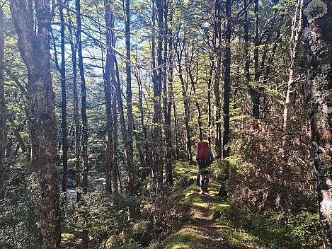 Track down Lost Stream
Photographer;&nbsp;Simon
2024-01-31&nbsp;09.19.56;&nbsp;Metadata time: '2024 Jan 31 09:19'
Original size:&nbsp;9,248 x 6,936; 21,982 kB
Filename: 2024-01-31 09.19.56 S20+ Simon - track down Lost Stream.jpeg