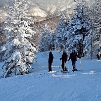 At the Prince Hotel East Wing skiing Yakebitaiyama
Kevin, Adrian, and Simon on Yakebitaiyama A5 course
Photo: Jim
2024-03-02 16.15.15; '2024 Mar 02 16:15'
Original size: 2,992 x 2,992; 2,663 kB
2024-03-02 16.15.15 S21FE+ Jim - Kevin, Adrian, and Simon on Yakebitaiyama A5 course.jpeg