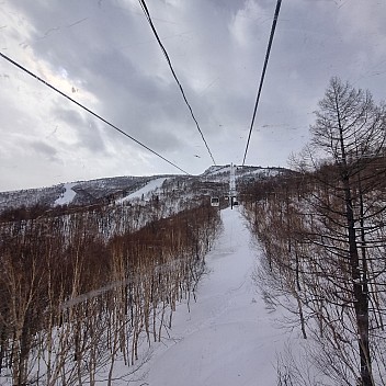 Looking up the Okushiga Gondola
Photographer;&nbsp;Jim
2024-03-03&nbsp;14.15.10;&nbsp;Metadata time: '2024 Mar 03 18:15'
Original size:&nbsp;2,992 x 2,992; 2,578 kB
Filename: 2024-03-03 14.15.10 S21FE+ Jim - looking up the Okushiga Gondola.jpeg