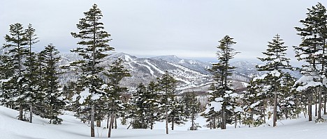 Ski Okushiga Kōgen and Yakebitaiyama
View from Yakebitaiyama A1 across to Ichinose and Takamagahara
Photo: Simon
2024-03-05 09.59.21; '2024 Mar 05 09:59'
Original size: 15,926 x 6,810; 17,579 kB; stitch