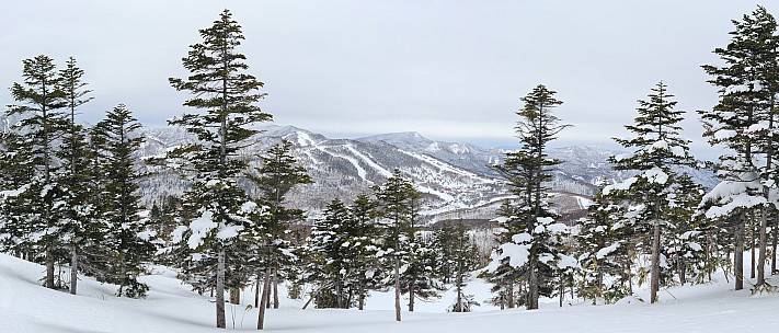 View from Yakebitaiyama A1 across to Ichinose and Takamagahara
Photo: Simon
2024-03-05 09.59.21; '2024 Mar 05 09:59'
Original size: 15,926 x 6,810; 17,579 kB; stitch
2024-03-05 09.59.21 S20+ Simon - view from Yakebitaiyama A1 across to Ichinose and Takamagahara_stitch.jpg