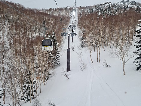 View up the Okushiga Gondola
Photo: Adrian
2024-03-05 11.06.22; '2024 Mar 05 15:06'
Original size: 8,481 x 6,361; 16,389 kB; str
2024-03-05 11.06.22 S20+ Adrian - view up the Okushiga Gondola_str.jpeg