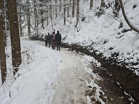 Path to the Snow Monkey Park
Photographer;&nbsp;Adrian
2024-03-06&nbsp;12.07.33;&nbsp;Metadata time: '2024 Mar 06 16:07'
Original size:&nbsp;9,248 x 6,928; 12,048 kB
Filename: 2024-03-06 12.07.33 S20+ Adrian - Path to the Snow Monkey Park.jpeg