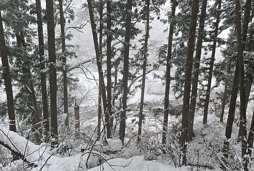 View down to Yokoyu river from Snow Monkey path
Photographer;&nbsp;Adrian
2024-03-06&nbsp;12.22.24;&nbsp;Metadata time: '2024 Mar 06 16:22'
Original size:&nbsp;9,974 x 6,701; 11,690 kB;&nbsp;stitch
Filename: 2024-03-06 12.22.24 S20+ Adrian - view down to Yokoyu river from Snow Monkey path_stitch.jpg