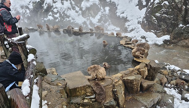 Snow Monkey Onsen
Photo: Adrian
2024-03-06 12.41.31; '2024 Mar 06 16:41'
Original size: 9,248 x 5,322; 10,906 kB; cr
2024-03-06 12.41.31 S20+ Adrian - Snow Monkey Onsen_cr.jpg