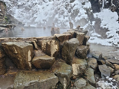 Snow Monkey Onsen
Photo: Adrian
2024-03-06 13.02.31; '2024 Mar 06 17:02'
Original size: 9,248 x 6,928; 19,864 kB
2024-03-06 13.02.31 S20+ Adrian - Snow Monkey Onsen.jpeg