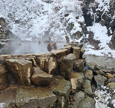 Snow Monkey Onsen
Photo: Adrian
2024-03-06 13.02.37; '2024 Mar 06 17:02'
Original size: 9,392 x 8,820; 13,414 kB; stitch
2024-03-06 13.02.37 S20+ Adrian - Snow Monkey Onsen_stitch.jpg