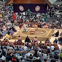 Kuromon market, Ōsaka Castle, Sumo Wrestling and Edion Arean\, Dōtonburi
Higher ranks get cushions to sit on
Photo: Jim
2024-03-15 15.33.42; '2024 Mar 15 15:33'
Original size: 2,992 x 2,992; 3,299 kB
2024-03-15 15.33.42 S21FE+ Jim - Higher ranks get cushions to sit on.jpeg