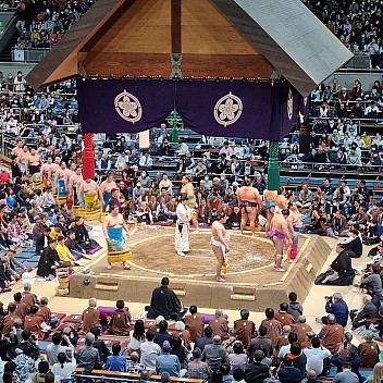 Sumo ceremony entering
Photo: Jim
2024-03-15 15.42.35; '2024 Mar 15 19:42'
Original size: 2,992 x 2,992; 3,280 kB
2024-03-15 15.42.35 S21FE+ Jim - Sumo ceremony entering.jpeg