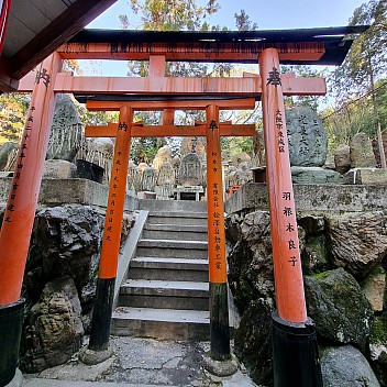Torii gates and Shrines on the Senbon Torii path
Photographer;&nbsp;Jim
2024-03-16&nbsp;15.51.49;&nbsp;Metadata time: '2024 Mar 16 19:51'
Original size:&nbsp;2,992 x 2,992; 3,302 kB
Filename: 2024-03-16 15.51.49 S21FE+ Jim - Torii gates and Shrines on the Senbon Torii path.jpeg