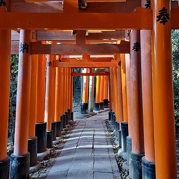 Senbon Torii path
Photographer;&nbsp;Jim
2024-03-16&nbsp;16.06.13;&nbsp;Metadata time: '2024 Mar 16 20:06'
Original size:&nbsp;2,992 x 2,992; 2,535 kB
Filename: 2024-03-16 16.06.13 S21FE+ Jim - Senbon Torii path.jpeg