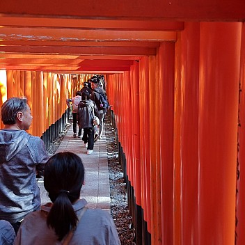 Inside the Senbon Torii path
Photo: Jim
2024-03-16 15.43.53; '2024 Mar 16 19:43'
Original size: 2,992 x 2,992; 2,251 kB
2024-03-16 15.43.53 S21FE+ Jim - inside the Senbon Torii path.jpeg