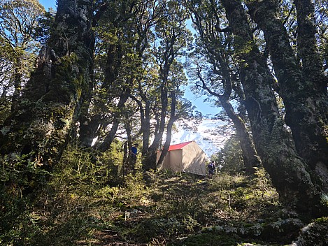 Brian and Philip arriving at Brodrick Hut
Photographer;&nbsp;Simon
2024-09-30&nbsp;11.48.44;&nbsp;Metadata time: '2024 Sept 30 11:48'
Original size:&nbsp;9,248 x 6,936; 26,847 kB
Filename: 2024-09-30 11.48.44 S20+ Simon - Brian and Philip arriving at Brodrick Hut.jpeg