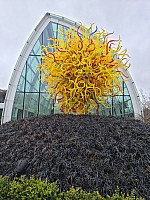 Pacific Sun sculpture outside the Glasshouse
Photographer;&nbsp;Simon
2025-03-02&nbsp;13.47.02;&nbsp;Metadata time: '2025 Mar 02 13:47'
Original size:&nbsp;6,928 x 9,248; 19,013 kB
Filename: 2025-03-02 13.47.02 S20+ Simon - Pacific Sun sculpture outside the Glasshouse.jpeg