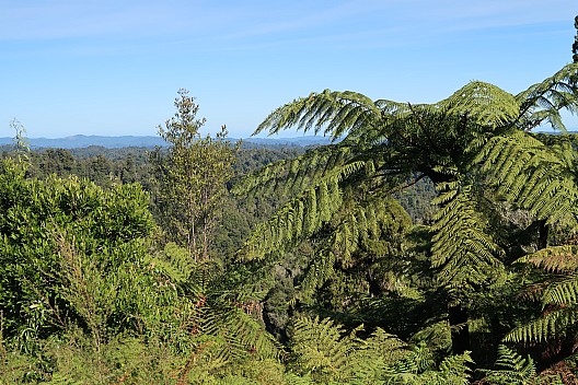 View over the Waitōtara
Photo: Brian
2025-05-05 12.36.35; '2025 May 05 12:36'
Original size: 5,472 x 3,648; 11,974 kB
2025-05-05 12.36.35 IMG_1491 Brian - view over the Waitōtara.jpeg