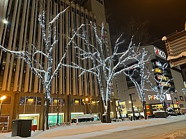 Sapporo Ekimae Dōri Minami‑1‑jō Nishi 4‑chōmei illuminated trees
Photographer;&nbsp;Pauline
2026-01-31&nbsp;17.28.43;&nbsp;Metadata time: '2026 Jan 31 17:28'
Original size:&nbsp;4,032 x 3,024; 8,060 kB
Filename: 2026-01-31 17.28.43 IMG_4448 Pauline - Sapporo Ekimae Dōri Minami‑1‑jō Nishi 4‑chōmei illuminated trees.jpeg