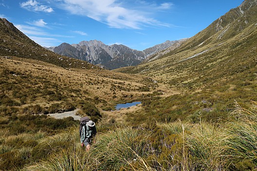 Bruce arriving at Moa Saddle from Moa Stream
Photographer;&nbsp;Brian
2026-03-04&nbsp;11.51.30;&nbsp;Metadata time: '2026 Mar 04 11:51'
Original size:&nbsp;5,472 x 3,648; 11,613 kB
Filename: 2026-03-04 11.51.30 CPSG7MII IMG_1780 Brian - Bruce arriving at Moa Saddle from Moa Stream.jpeg